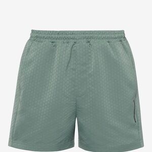 Porsche Design Green Swim Trunks